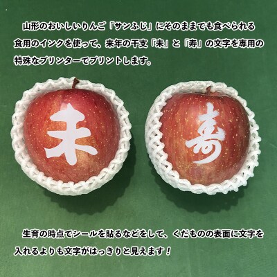☆フルーツ王国山形☆りんご【”干支未(ひつじ)”と”寿”の文字印刷入り】3kg  FS25-757