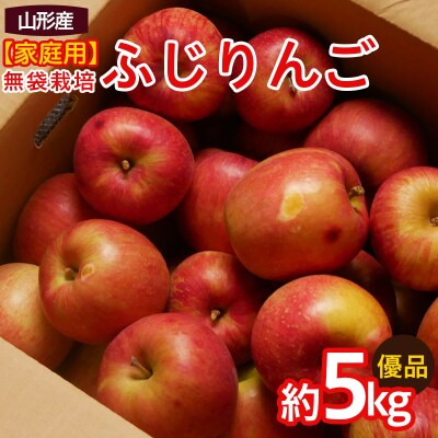 【家庭用】ふじりんご 優品 約5kg入り【令和8年産】FS25-760