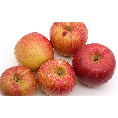 【家庭用】ふじりんご 優品 約5kg入り【令和8年産】FS25-760