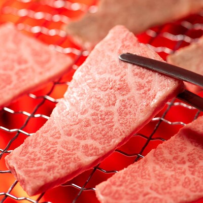 山形牛 モモ・カルビ 焼肉用 1kg (500g×2P) FZ26-834