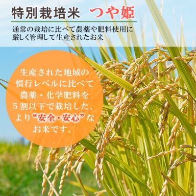 【定期便4回】令和7年産新米 山形産 特別栽培米 つや姫 5kg×4ヶ月11月発送 FZ25-086