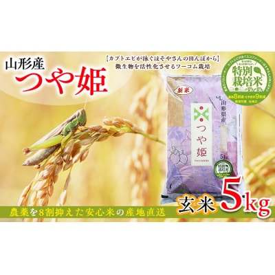 令和6年産 つや姫 5kg (玄米) 特別栽培米  FY25-126