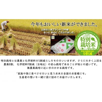 令和6年産 つや姫 5kg (玄米) 特別栽培米 FY25-126 | 山形県山形