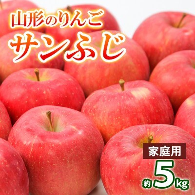 【家庭用】山形のりんご サンふじ 約5kg(10～20個) FY25-128