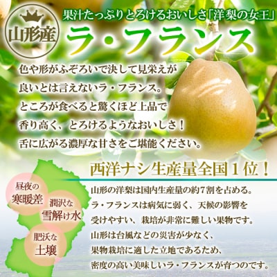 ☆フルーツ王国山形☆ りんご・ラフランス詰合せ  各1.5kg (計約3kg) FY25-061