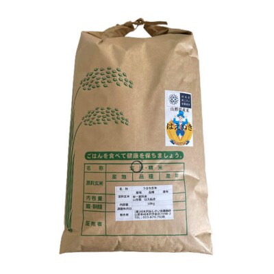 【令和8年産】山形市村木沢産 はえぬき(玄米) 20kg(10kg×2) FZ26-871