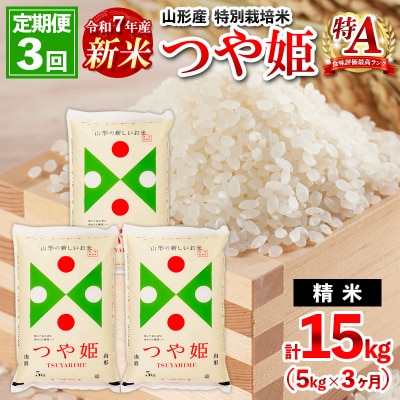 【定期便3回】令和7年産新米 山形産 特別栽培米 つや姫 5kg×3ヶ月11月発送 FZ25-084