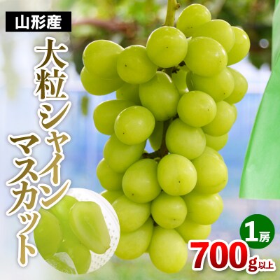 大粒 シャインマスカット 1房(700g以上) FY25-108