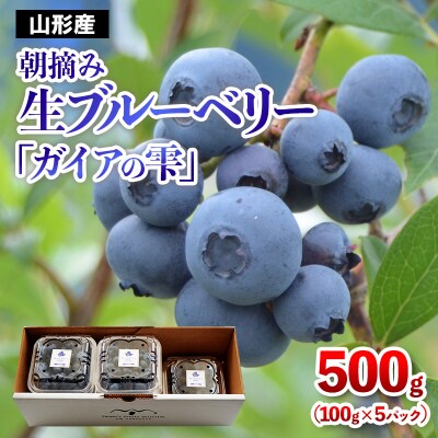 山形の朝摘み生ブルーベリー「ガイアの雫」500g(100g×5パック) FY25-109