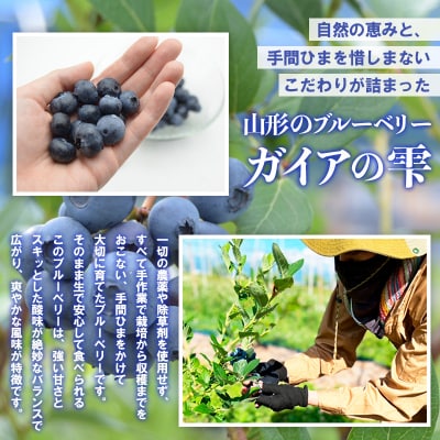 山形の朝摘み生ブルーベリー「ガイアの雫」500g(100g×5パック) FS25-705
