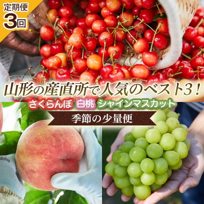 【定期便3回】山形の産直所で人気のベスト3!さくらんぼ・白桃・シャインマスカット FZ25-848