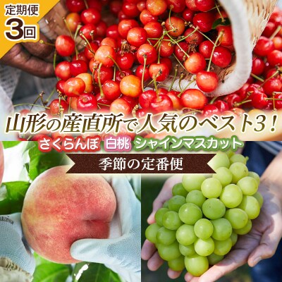 【定期便3回】山形の産直所で人気のベスト3!さくらんぼ・白桃・シャインマスカット FZ25-946