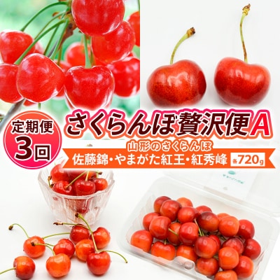 【定期便3回】贅沢便A山形のさくらんぼ 佐藤錦・やまがた紅王・紅秀峰 【令和8年産】FS25-002