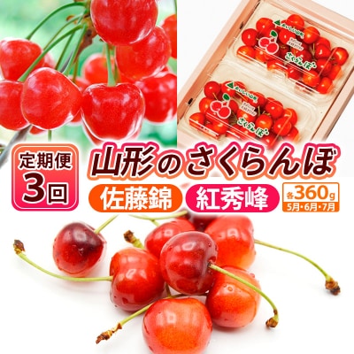 【定期便3回】山形のさくらんぼ 佐藤錦・紅秀峰 各360g×3回【令和9年産】FS25-007