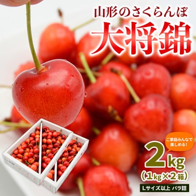 山形のさくらんぼ 大将錦 2kg L以上 バラ詰(1kg×2箱) 【令和8年産】FS25-008