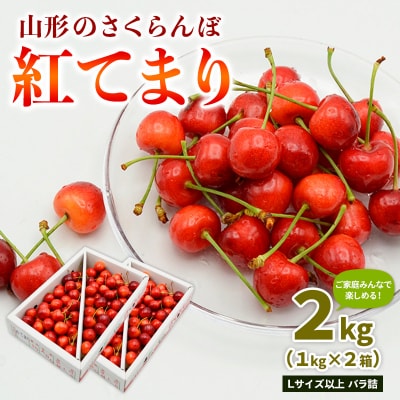 山形のさくらんぼ 紅てまり 2kg L以上 バラ詰 (1kg×2箱) 【令和8年産】FS25-009