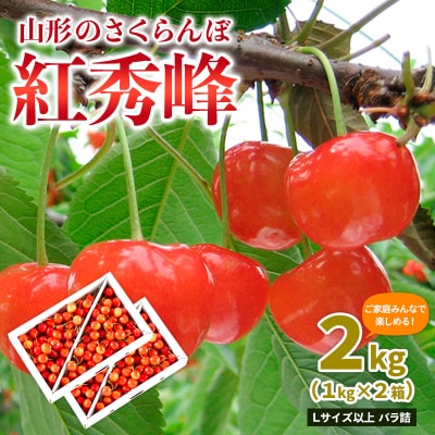 山形のさくらんぼ 紅秀峰 2kg L以上 バラ詰 (1kg×2箱) 【令和8年産】FS25-010