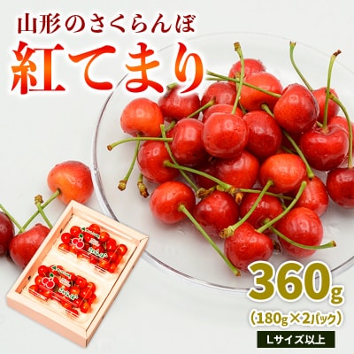 山形のさくらんぼ 紅てまり 360g L以上 (180g×2パック) 【令和8年産】FS25-016