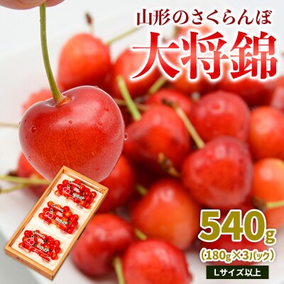 山形のさくらんぼ 大将錦 540g L以上 (180g×3パック) 【令和9年産】FS25-017