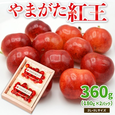 やまがた紅王 約360g 2～3Lサイズ (180g×2パック) 【令和8年産】FS25-019