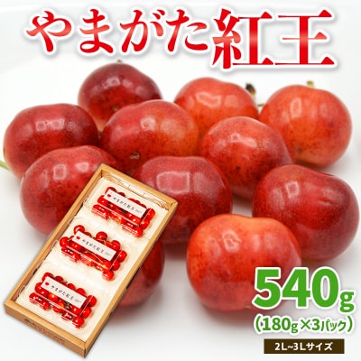 やまがた紅王 約540g 2～3Lサイズ (180g×3パック) 【令和8年産】FS25-020