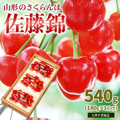 山形のさくらんぼ 佐藤錦 540g L以上 (180g×3パック) 【令和9年産】FS25-024