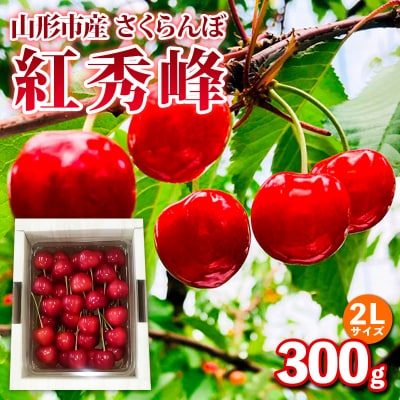 山形市産 さくらんぼ【紅秀峰】2Lサイズ 300g バラ詰め 【令和9年産】FS25-033