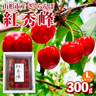 山形市産さくらんぼ【紅秀峰】Lサイズ 300g バラ詰め 【令和9年産】FS25-034