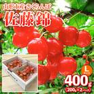 山形市産さくらんぼ【佐藤錦】Lサイズ 400g(200g×2P)  【令和8年産】FS25-035