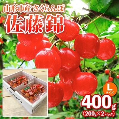 山形市産さくらんぼ【佐藤錦】Lサイズ 400g(200g×2P)  【令和9年産】FS25-035