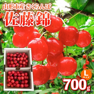 山形市産さくらんぼ【佐藤錦】Lサイズ 700g バラ詰め 【令和8年産】FS25-036