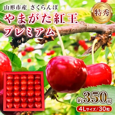 さくらんぼ「やまがた紅王プレミアム」 特秀品 4L 30粒  【令和9年産】FS25-037