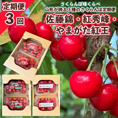 【3回】さくらんぼ味くらべ 山形が誇る3種 -佐藤錦・紅秀峰・紅王- 【令和9年産】FS25-039