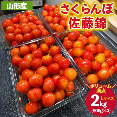 さくらんぼ 佐藤錦 Lサイズ 2kg (500g×4パック入り) 【令和8年産】FS25-031