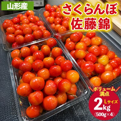 さくらんぼ 佐藤錦 Lサイズ 2kg (500g×4パック入り) 【令和9年産】FS25-031
