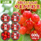 大粒さくらんぼ「やまがた紅王」3L 600g (100×6P入り) 【令和8年産】FS25-032