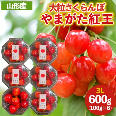 大粒さくらんぼ「やまがた紅王」3L 600g (100×6P入り) 【令和8年産】FS25-032