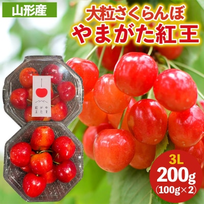 嗱 ܂g 3L 200g (100g×2P) yߘa8NYzFS25-038