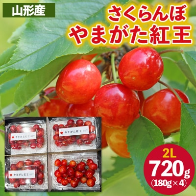 さくらんぼ ”やまがた紅王” 2L 720g(180g×4パック) 【令和8年産】FS25-055