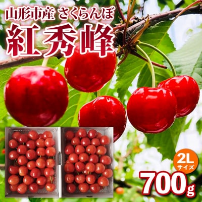 山形市産 さくらんぼ【紅秀峰】2Lサイズ 約700g  【令和8年産】FS25-052