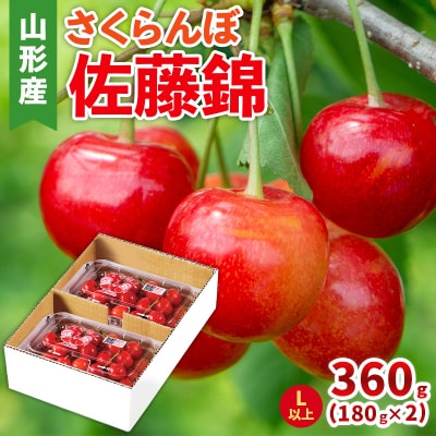 さくらんぼ(佐藤錦) Lサイズ 360g(180g×2パック) 【令和8年産】FS25-044