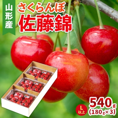() LTCY 540g(180g×3pbN) yߘa8NYzFS25-045