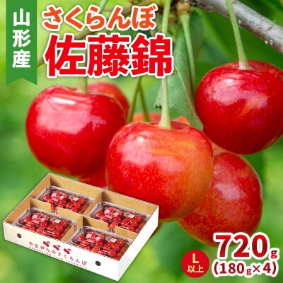さくらんぼ(佐藤錦) Lサイズ 720g(180g×4パック) 【令和8年産】FS25-046