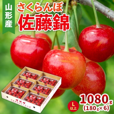 さくらんぼ(佐藤錦) Lサイズ 1080g(180g×6パック) 【令和8年産】FS25-047