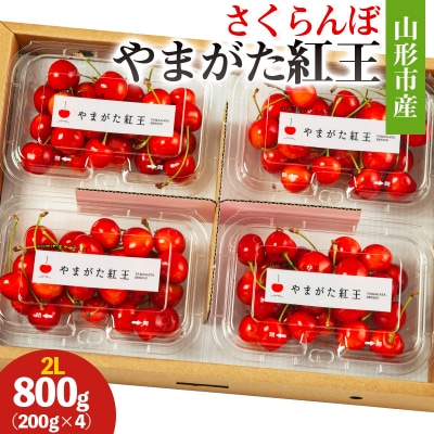 山形市産 さくらんぼ(やまがた紅王)2L 800g(200g×4) 【令和8年産】FS25-026