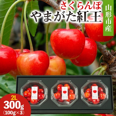 山形市産 さくらんぼ(やまがた紅王)2L 300g(100g×3) 【令和8年産】FS25-027