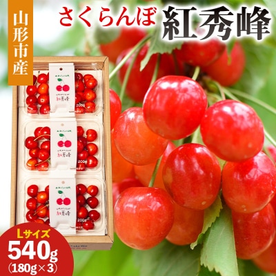 山形市産 さくらんぼ(紅秀峰)L 540g(180g×3) 【令和8年産】FS25-029