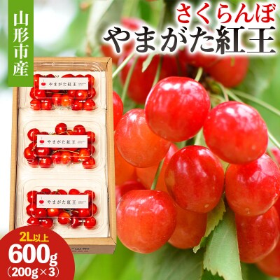 山形市産 さくらんぼ(やまがた紅王)2L以上 (200g×3) 【令和8年産】FS25-051
