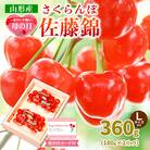 【母の日】さくらんぼ佐藤錦360gLサイズ以上(180g×2パック) 【令和8年産】FS25-013