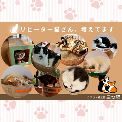 猫爪とぎセット(猫爪とぎ・猫トンネル・猫ハウス・カーゴサック) M-02 FY25-195